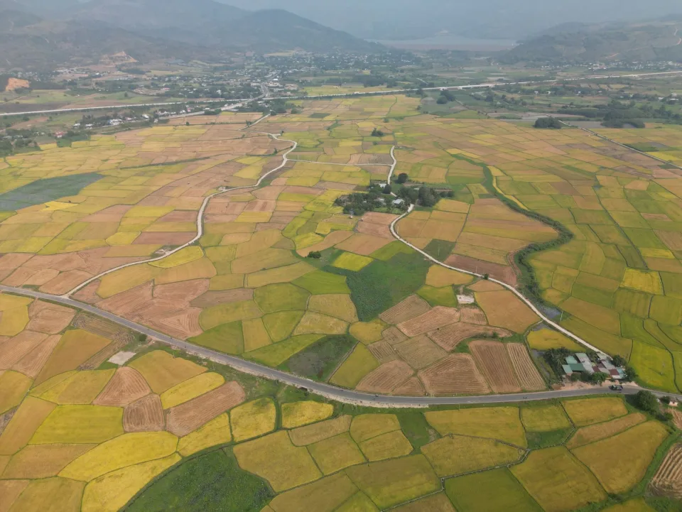 Xe giao gạo