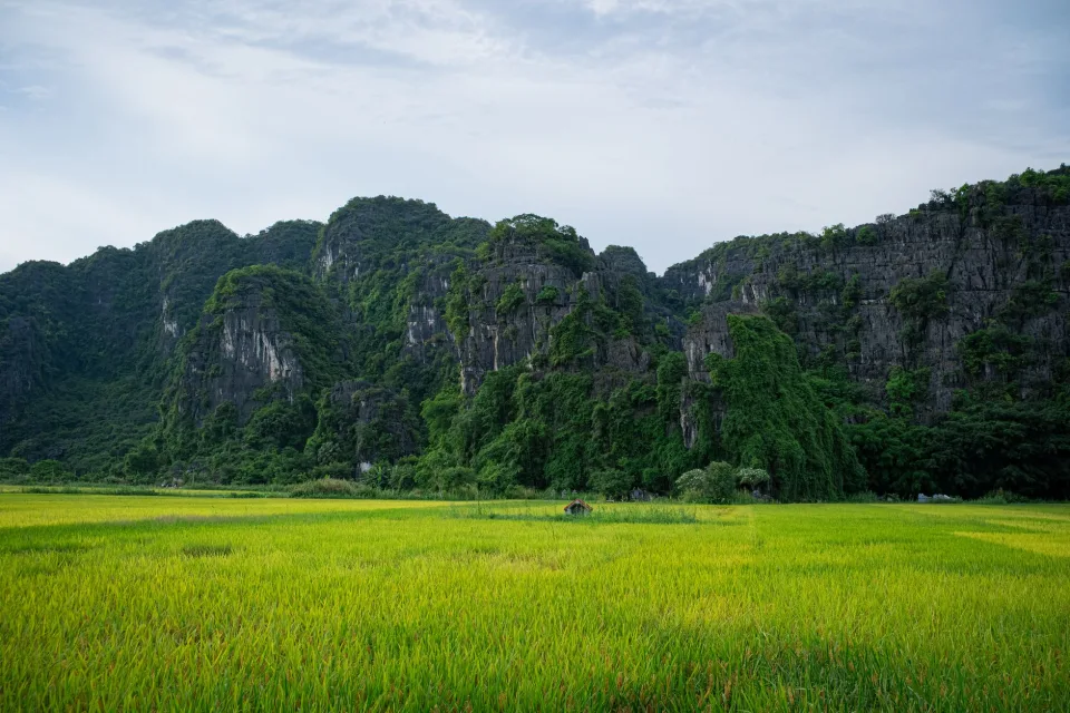 Kho gạo của Trần Đình Quí